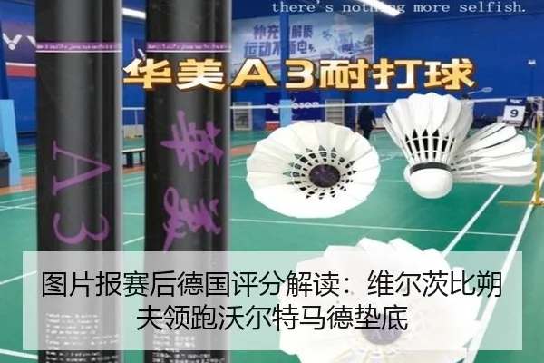 图片报赛后德国评分解读：维尔茨比朔夫领跑沃尔特马德垫底 | MILANSPORT